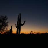 Review photo of Cactus Forest Dispersed Site by Sierra N., April 5, 2023