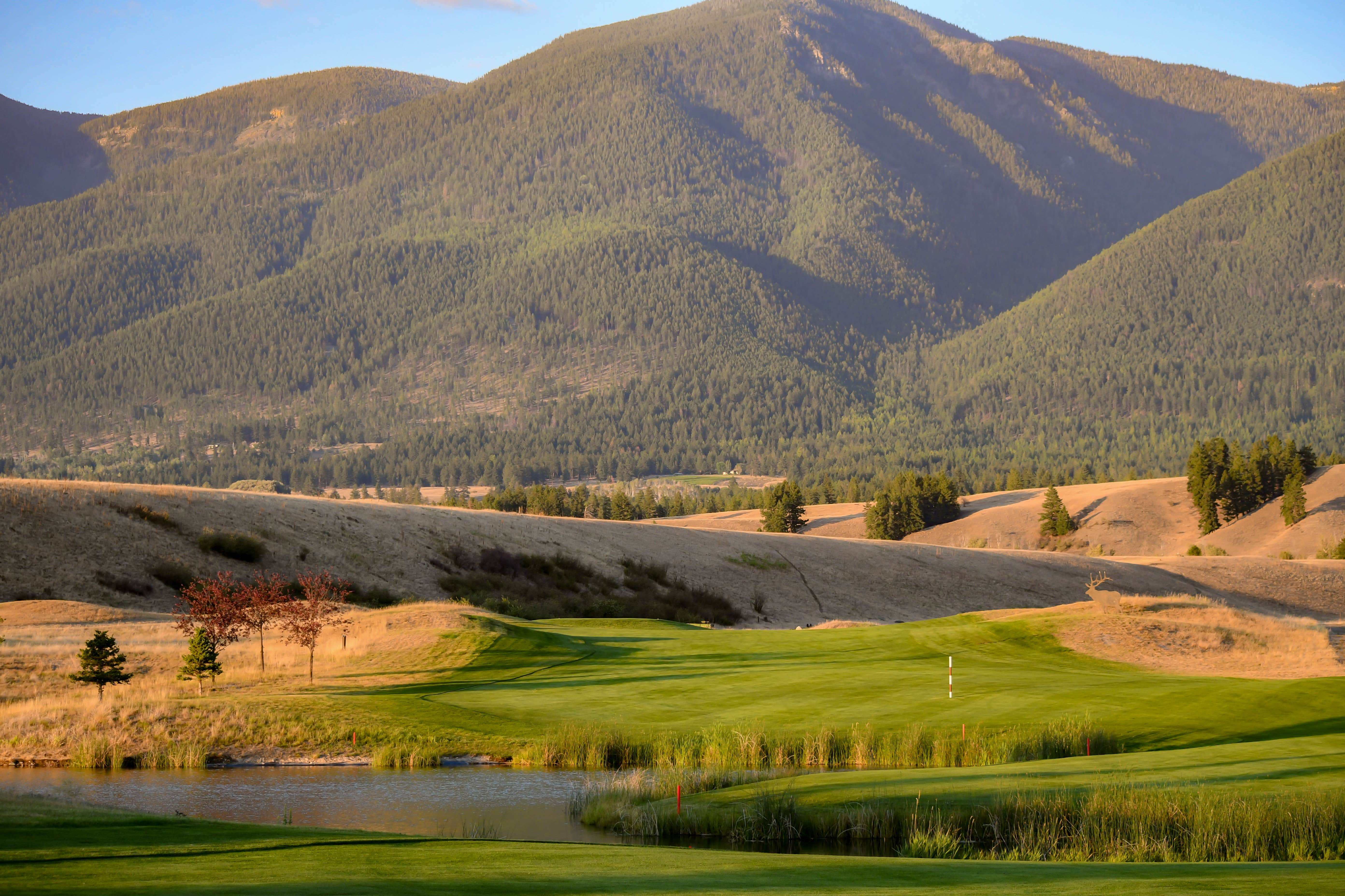 Camper-submitted photo at The RV Resort at Indian Springs Montana near Rexford, MT