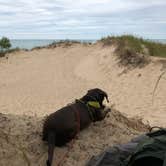 Review photo of Nordhouse Dunes Wilderness by Ian F., April 5, 2023