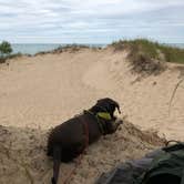 Review photo of Nordhouse Dunes Wilderness  by Ian F., April 5, 2023