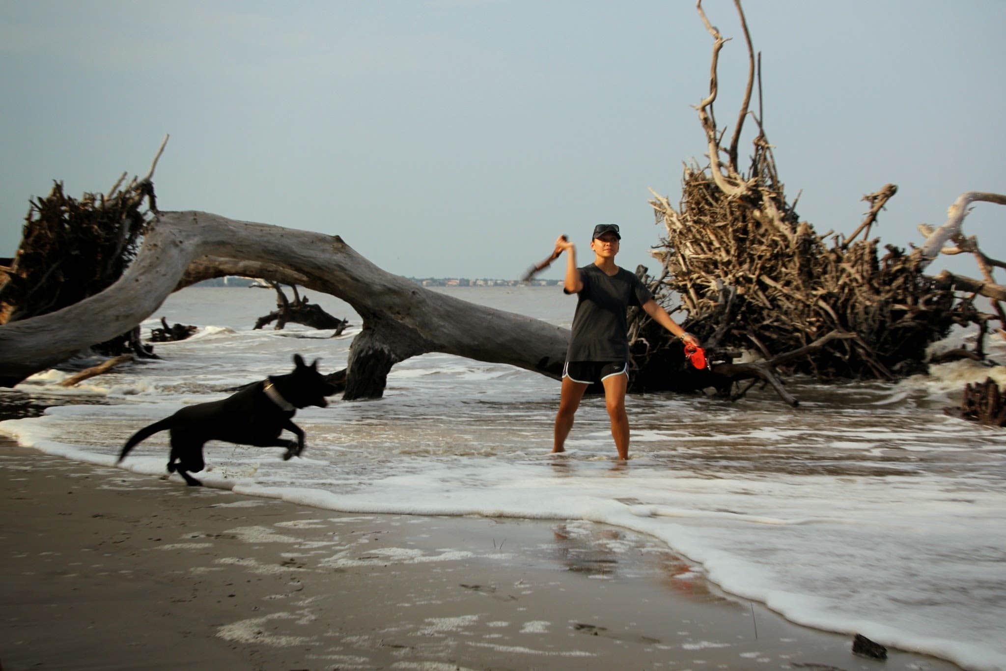 Camper submitted image from Jekyll Island Campground - 3