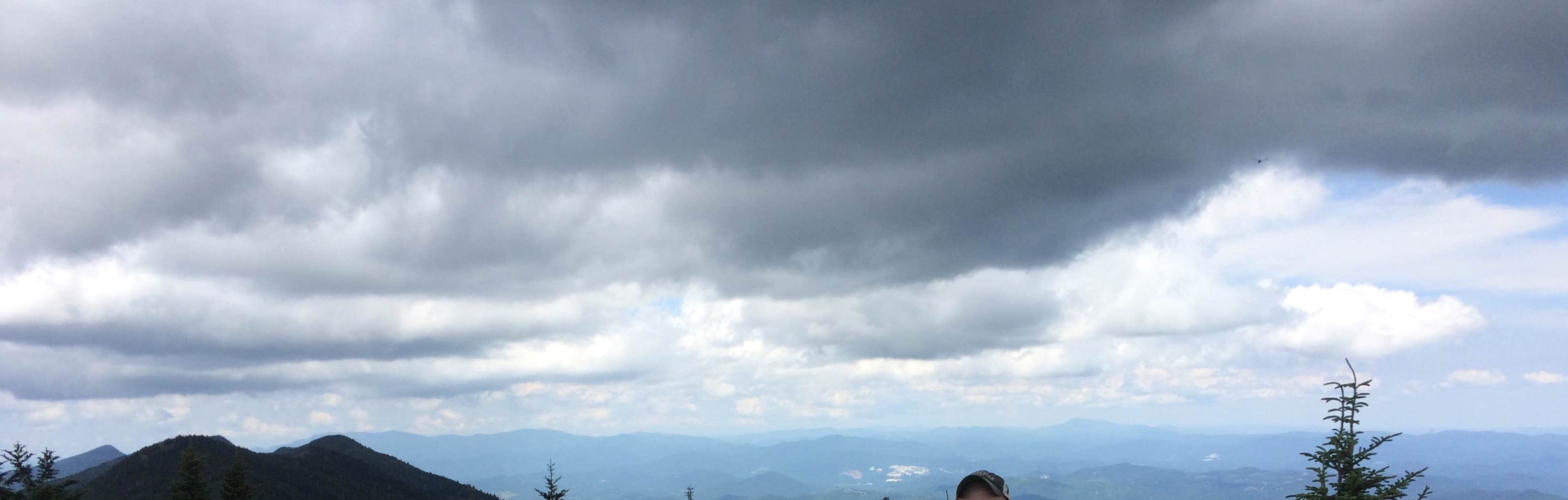 Camper submitted image from Mount Mitchell State Park Campground - 2