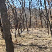 Review photo of Hitchcock County Nature Center by Tarrah C., April 5, 2023