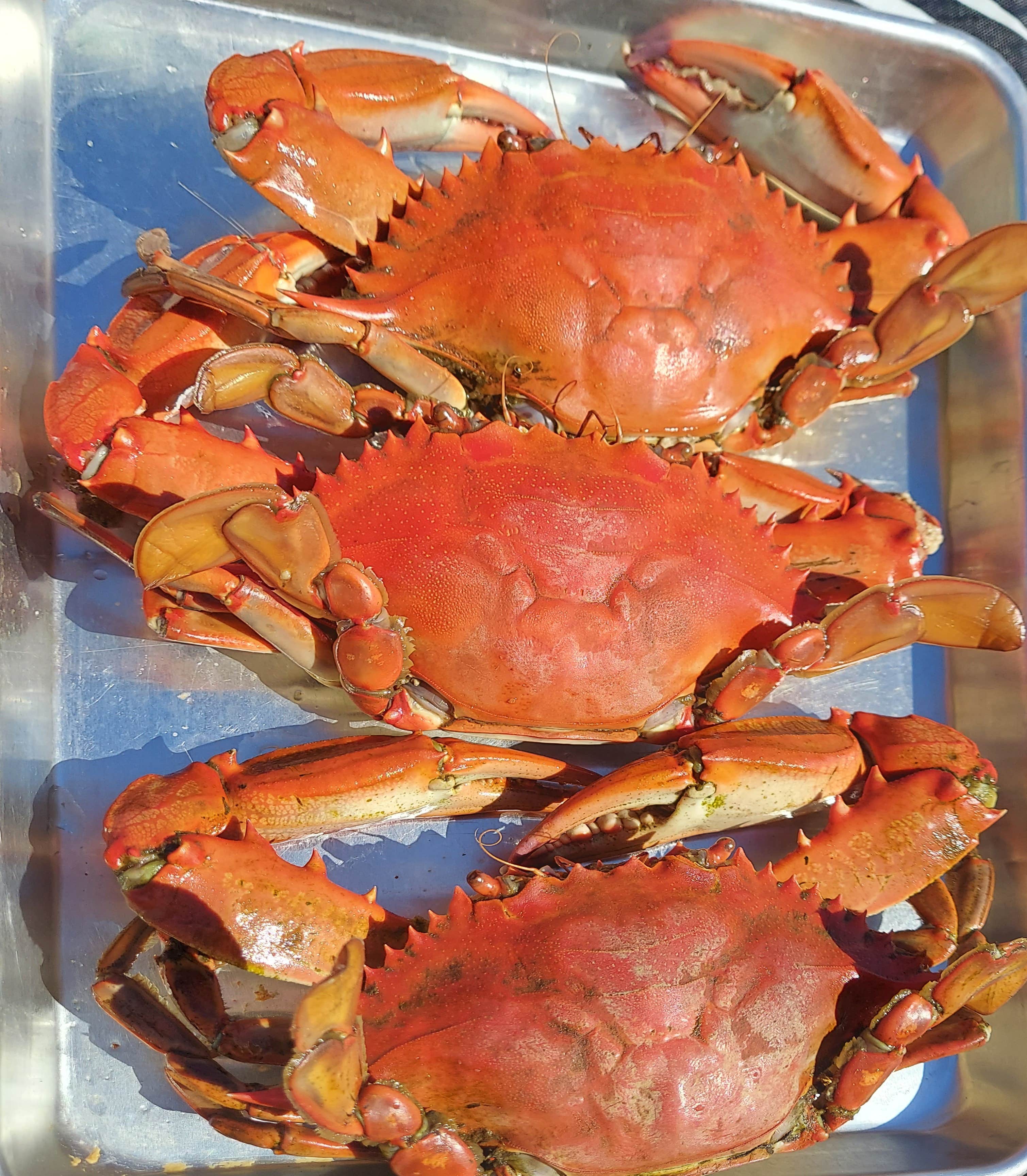 Camper-submitted photo at Eglin AFB - Post'l Point FamCamp near Niceville, FL