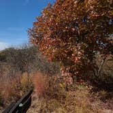 Review photo of Waubonsie State Park Campground by Tarrah C., April 5, 2023