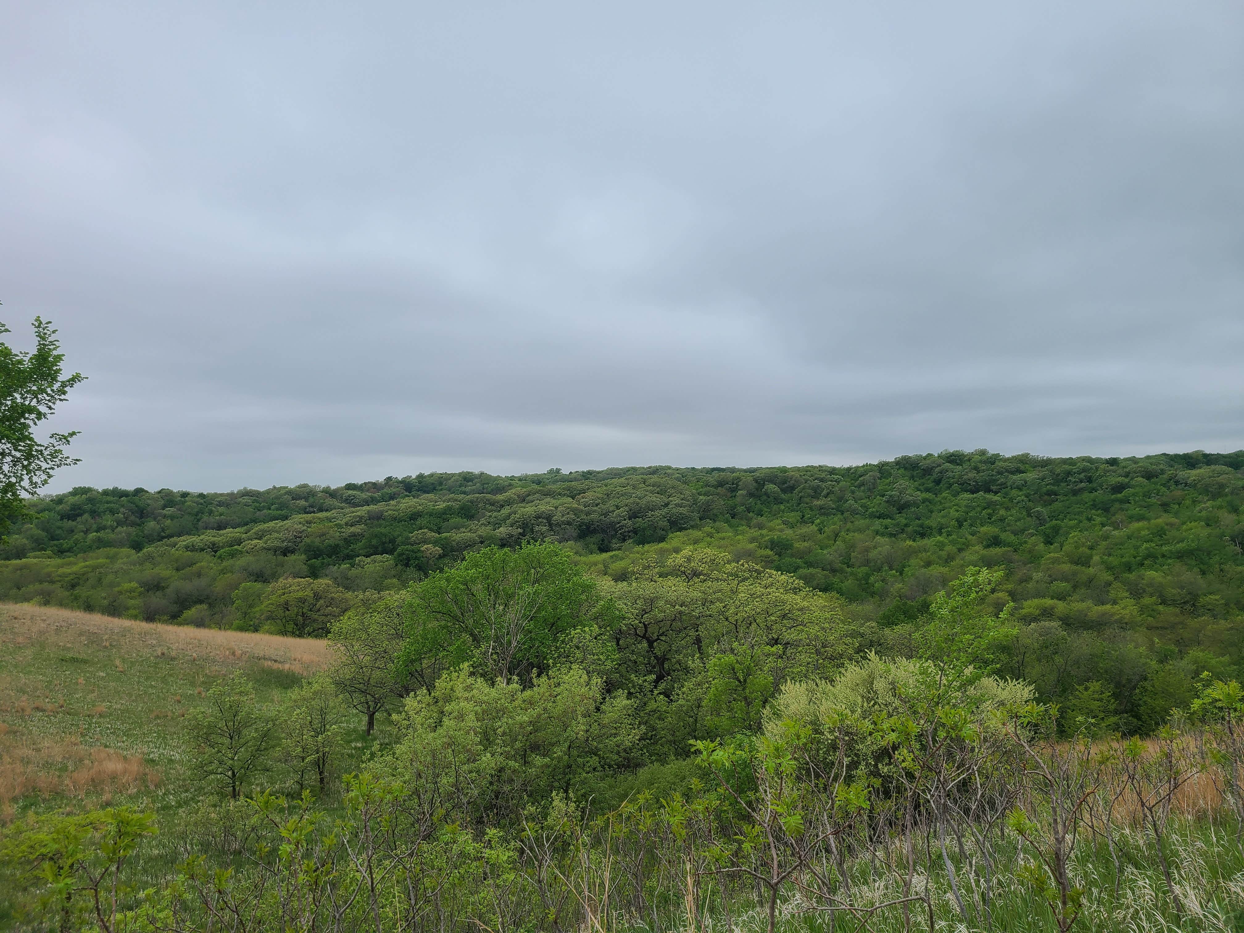 Camper-submitted photo at Preparation Canyon State Park Campground near Castana, IA