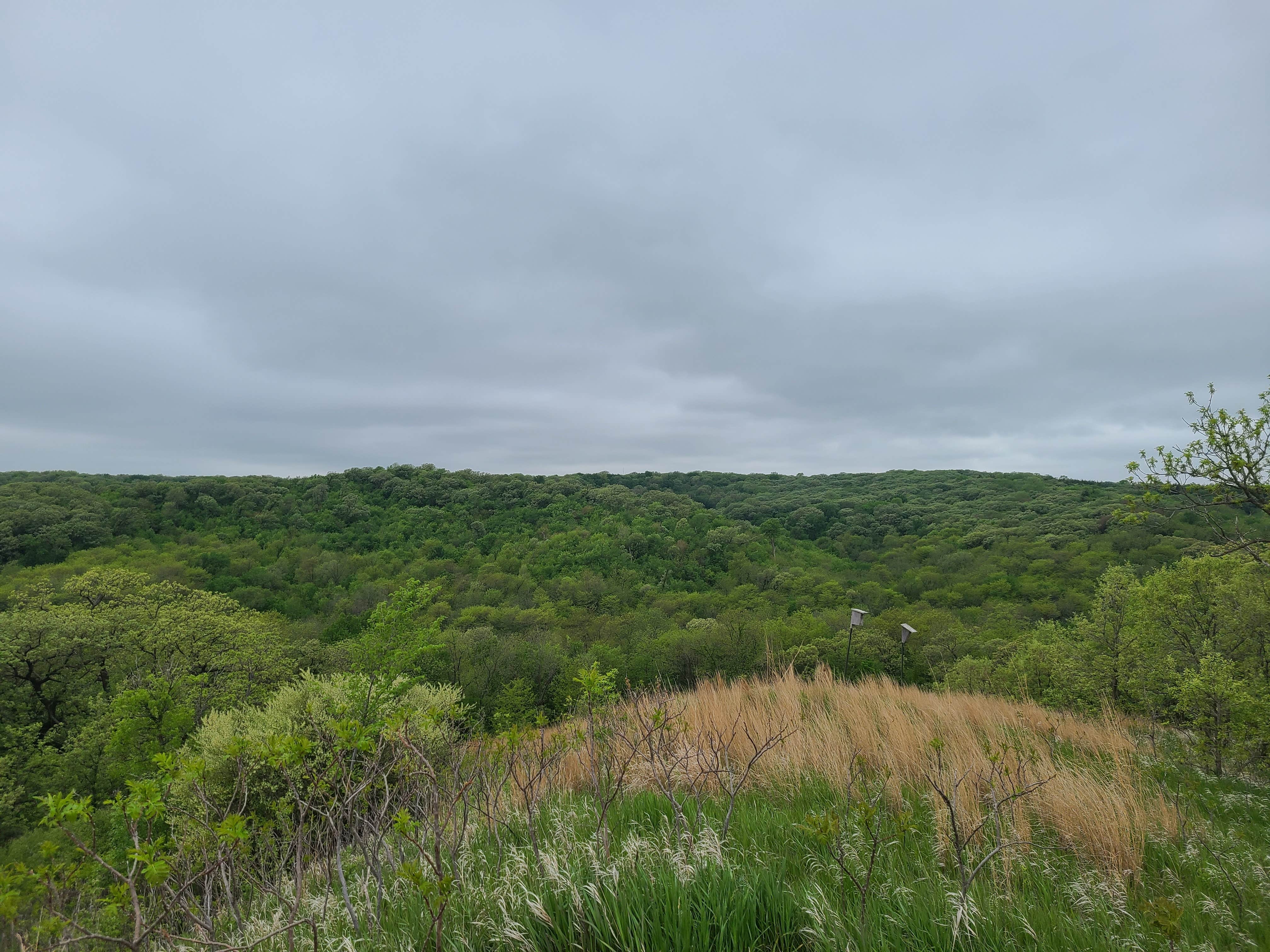 Camper-submitted photo at Preparation Canyon State Park Campground near Pisgah, IA