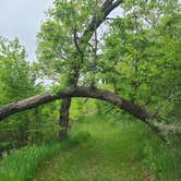 Review photo of Preparation Canyon State Park by Tarrah C., April 5, 2023