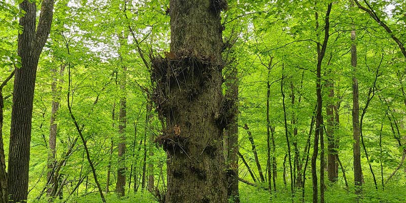 Camper submitted image from Preparation Canyon State Park Campground