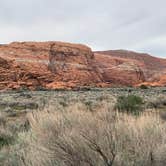 Review photo of Snow Canyon State Park Campground by Chris , April 5, 2023