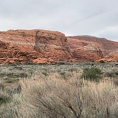 Review photo of Snow Canyon State Park Campground by Chris , April 5, 2023