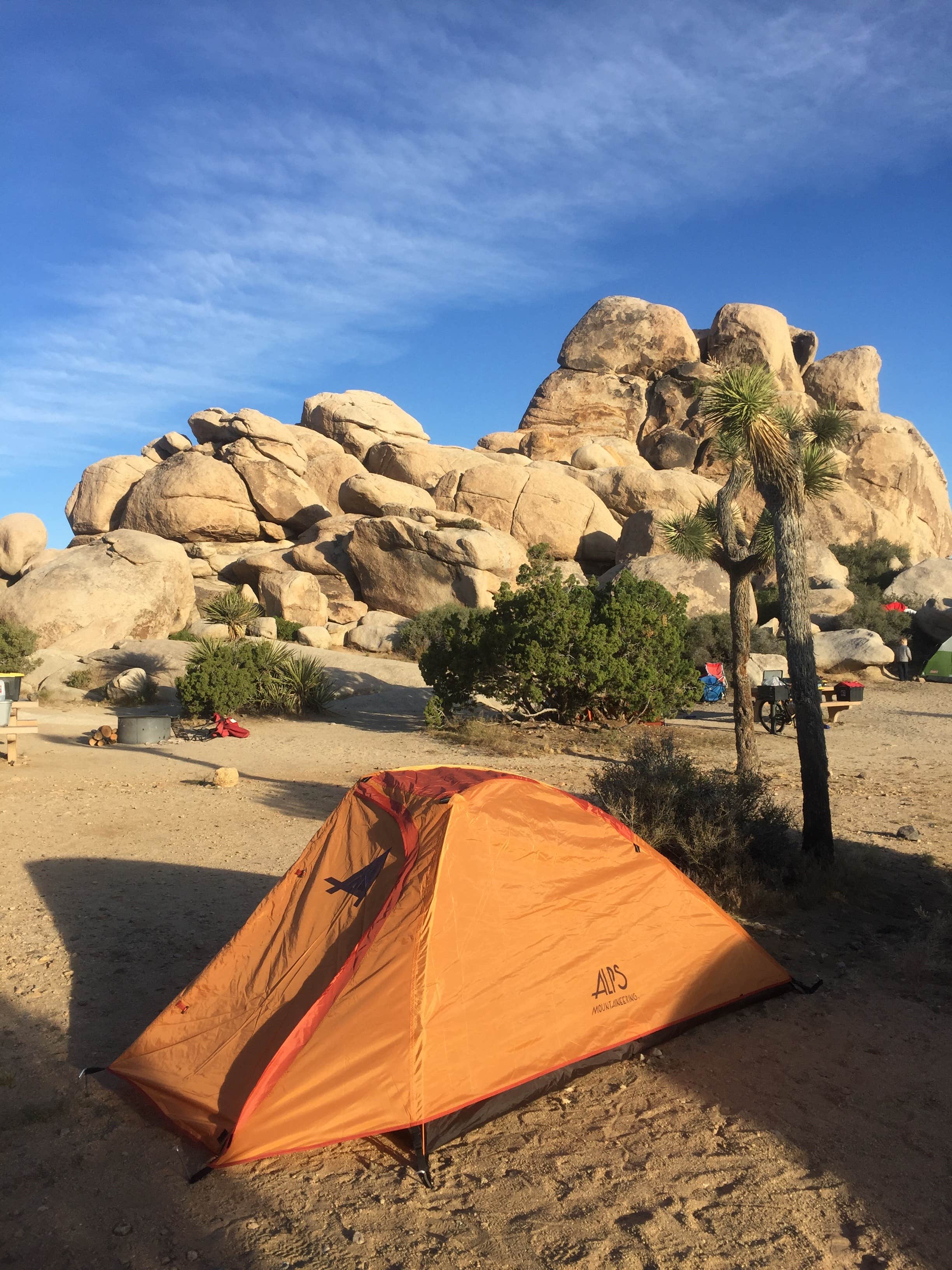 Maura E.'s photo at Ryan Campground — Joshua Tree National Park near Joshua Tree National Park