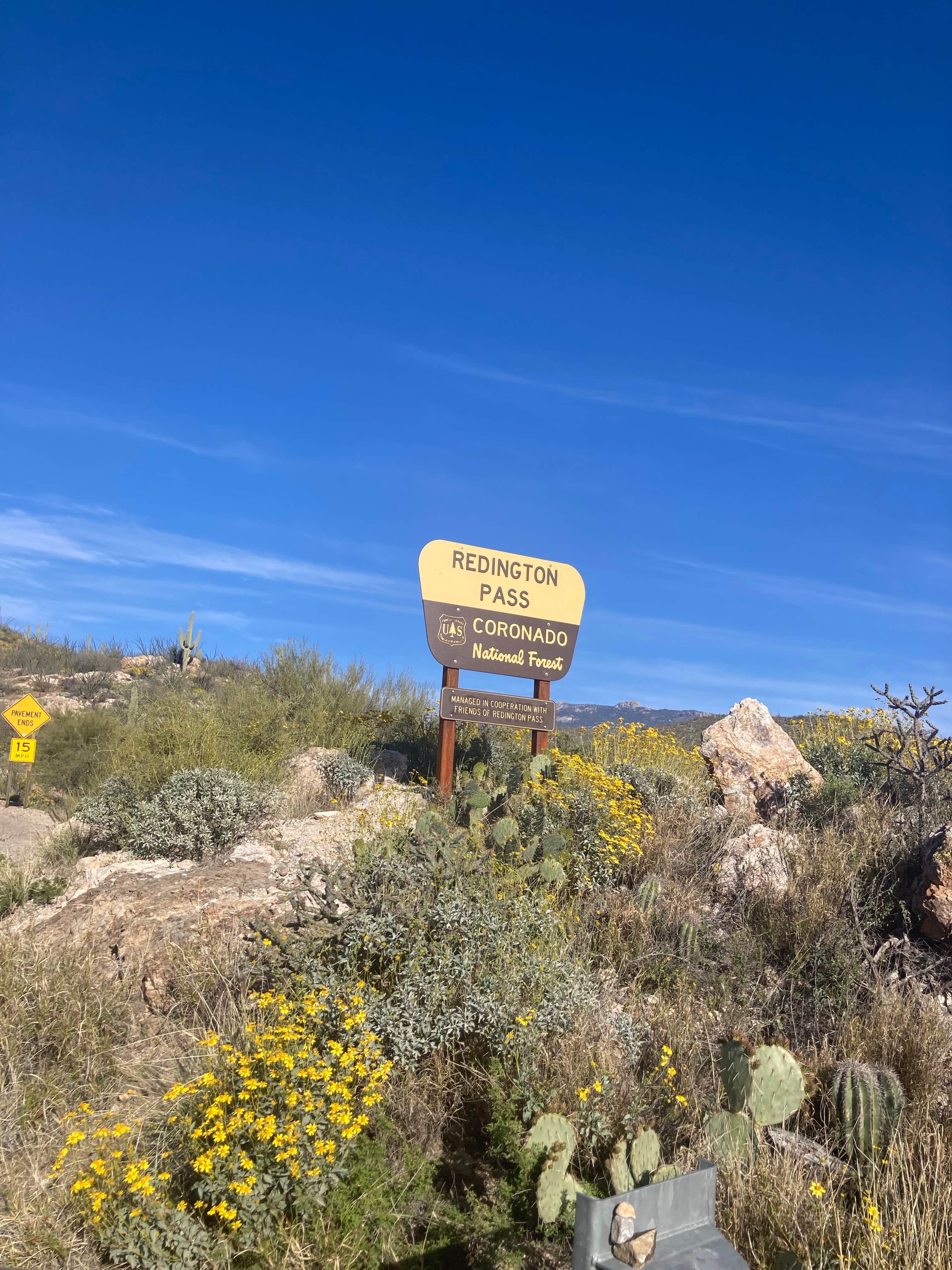Camper-submitted photo at Reddington Pass Dispersed near Tucson, AZ