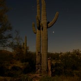 Review photo of Cactus Forest Dispersed by Sierra N., April 6, 2023