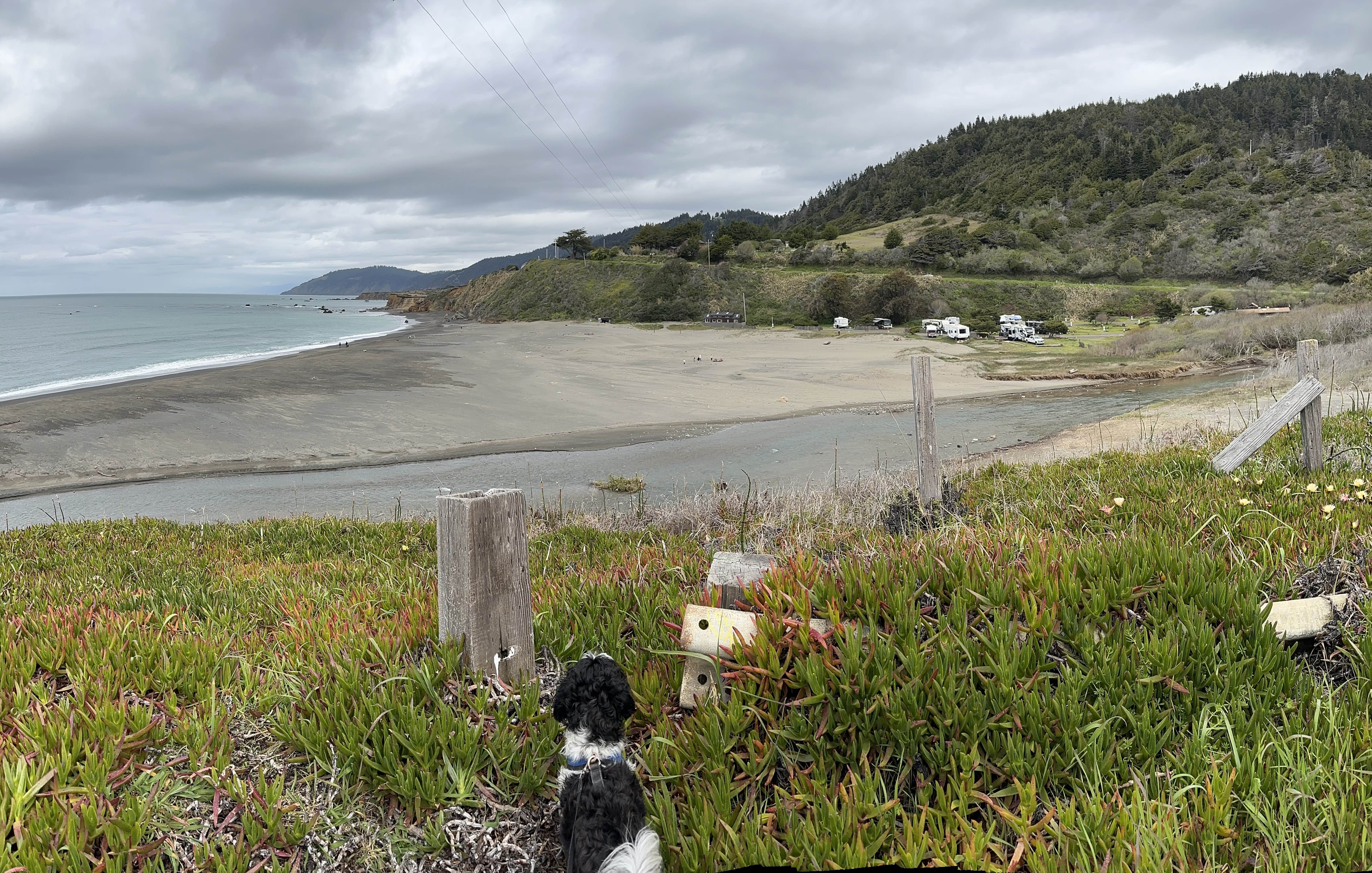 Travis C.'s photo of camping with pets at Westport Beach RV Park and Campground near Mendocino, CA