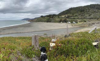 Travis C.'s photo of camping with pets at Westport Beach RV Park and Campground near King Range National Conservation Area