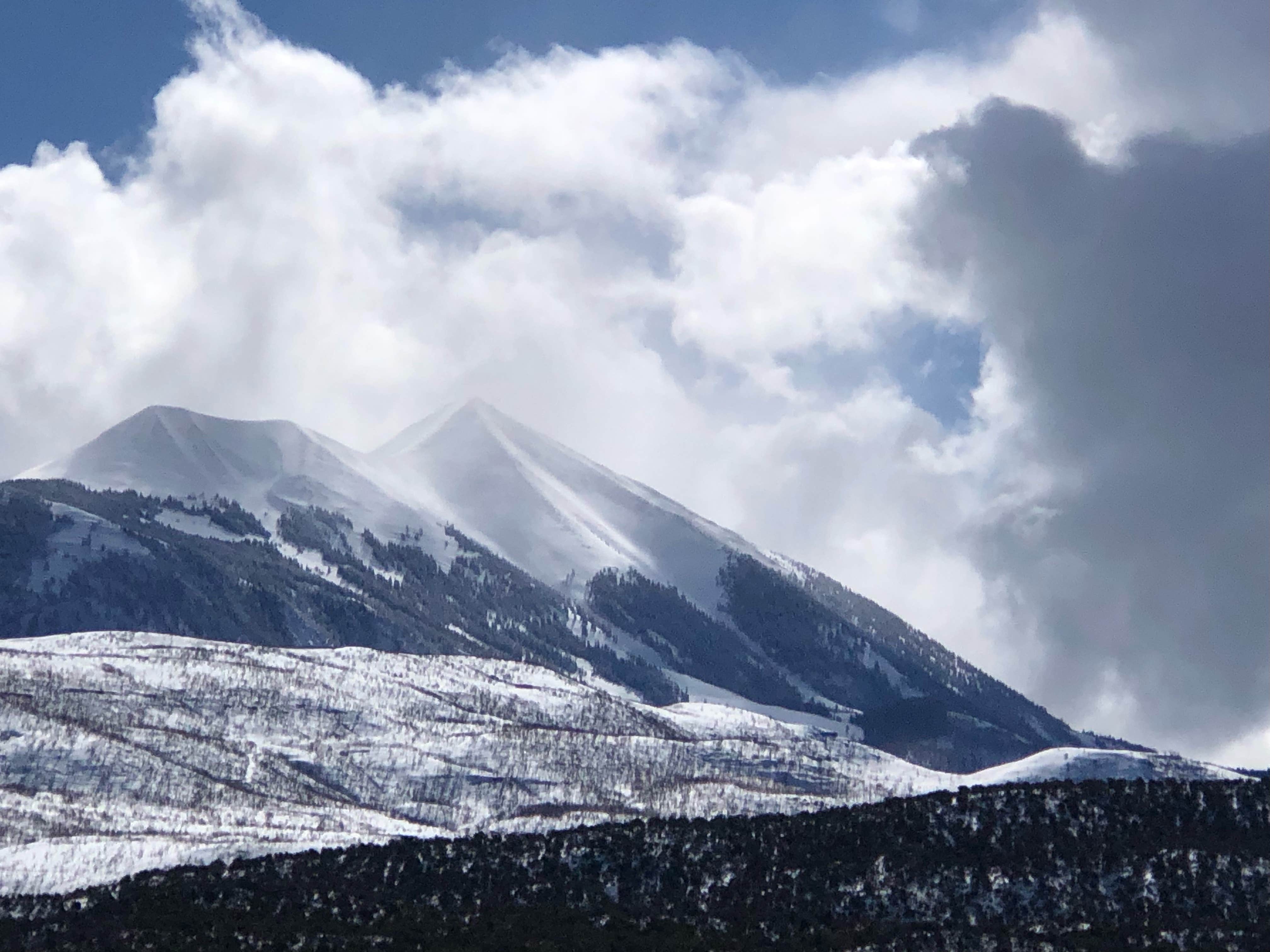 Willow R.'s photo of a dispersed camping area at Valley View - Dispersed 14 Day near La Sal, UT