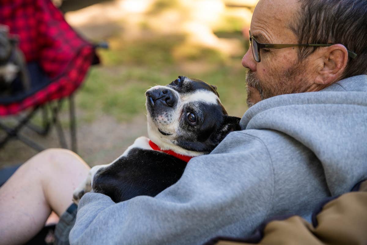 Camper-submitted photo at Bear Lake/Marina Side KOA Holiday near Cokeville, WY