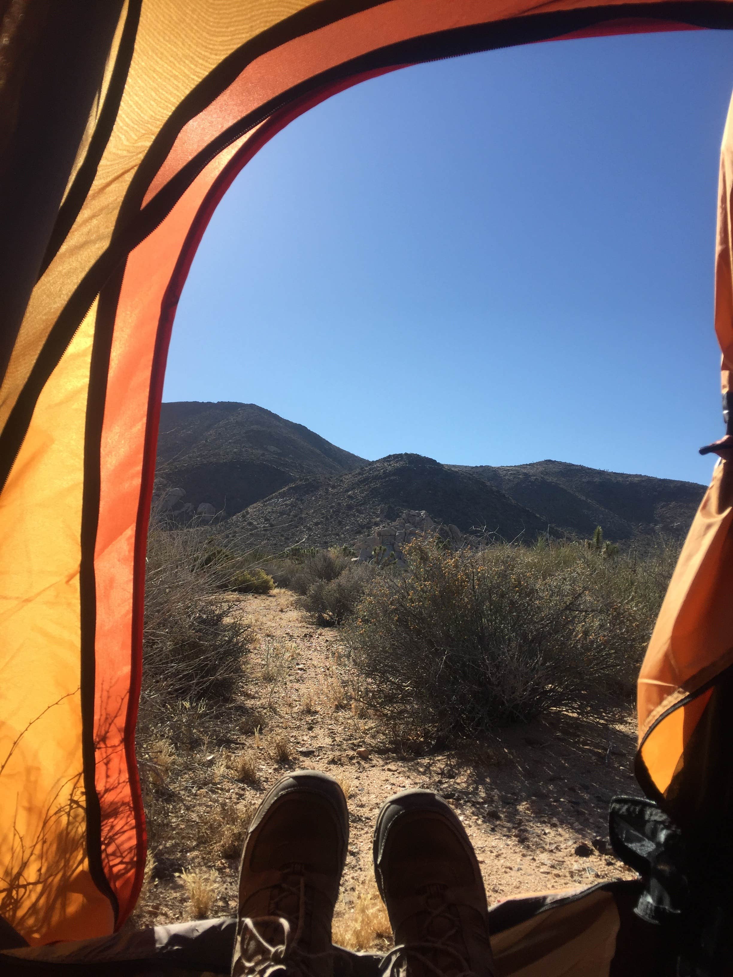 Camper submitted image from Ryan Campground — Joshua Tree National Park - 4