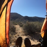 Review photo of Ryan Campground — Joshua Tree National Park by Maura E., August 15, 2016