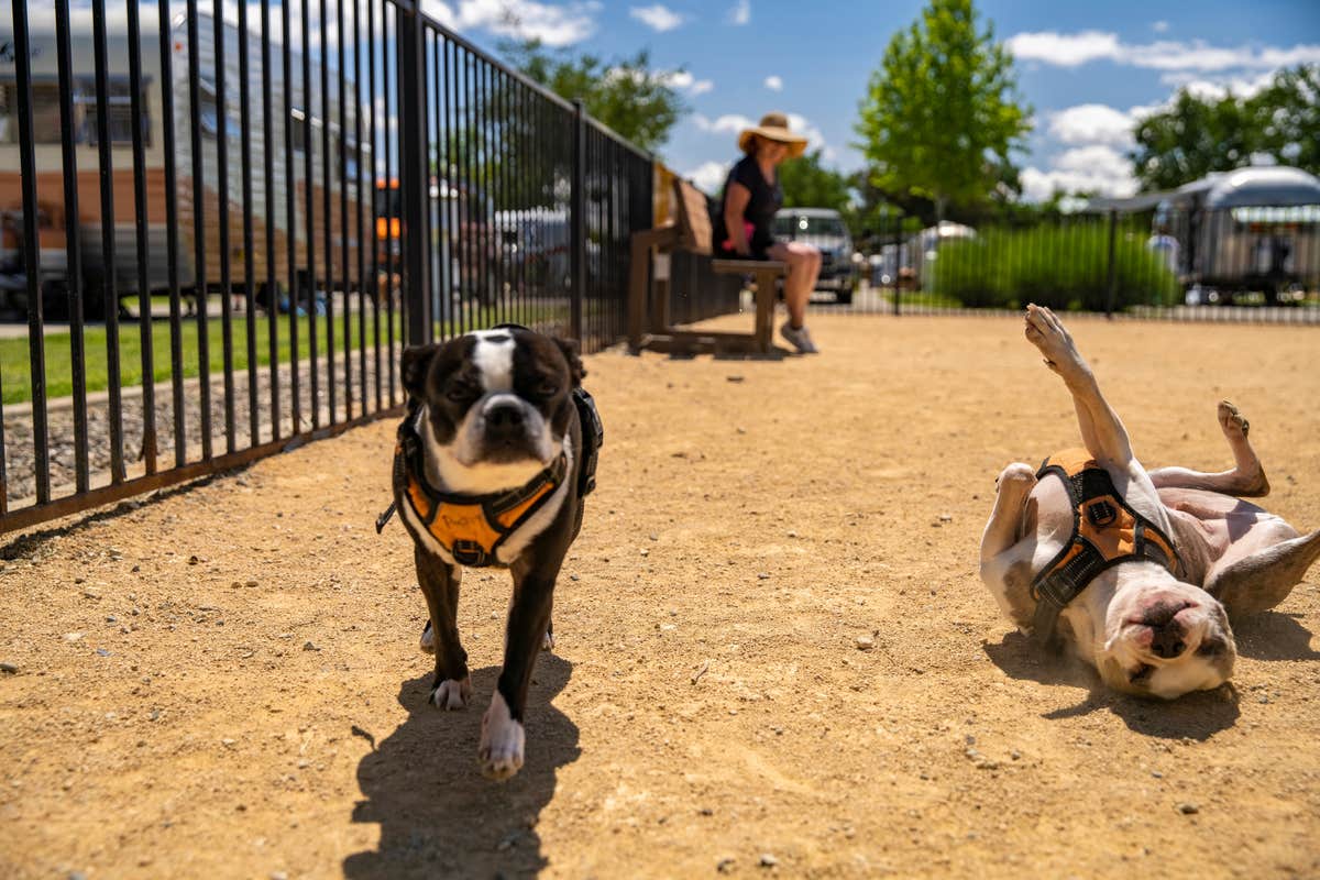 Camper-submitted photo at Red Bluff KOA Journey near Lassen Volcanic National Park