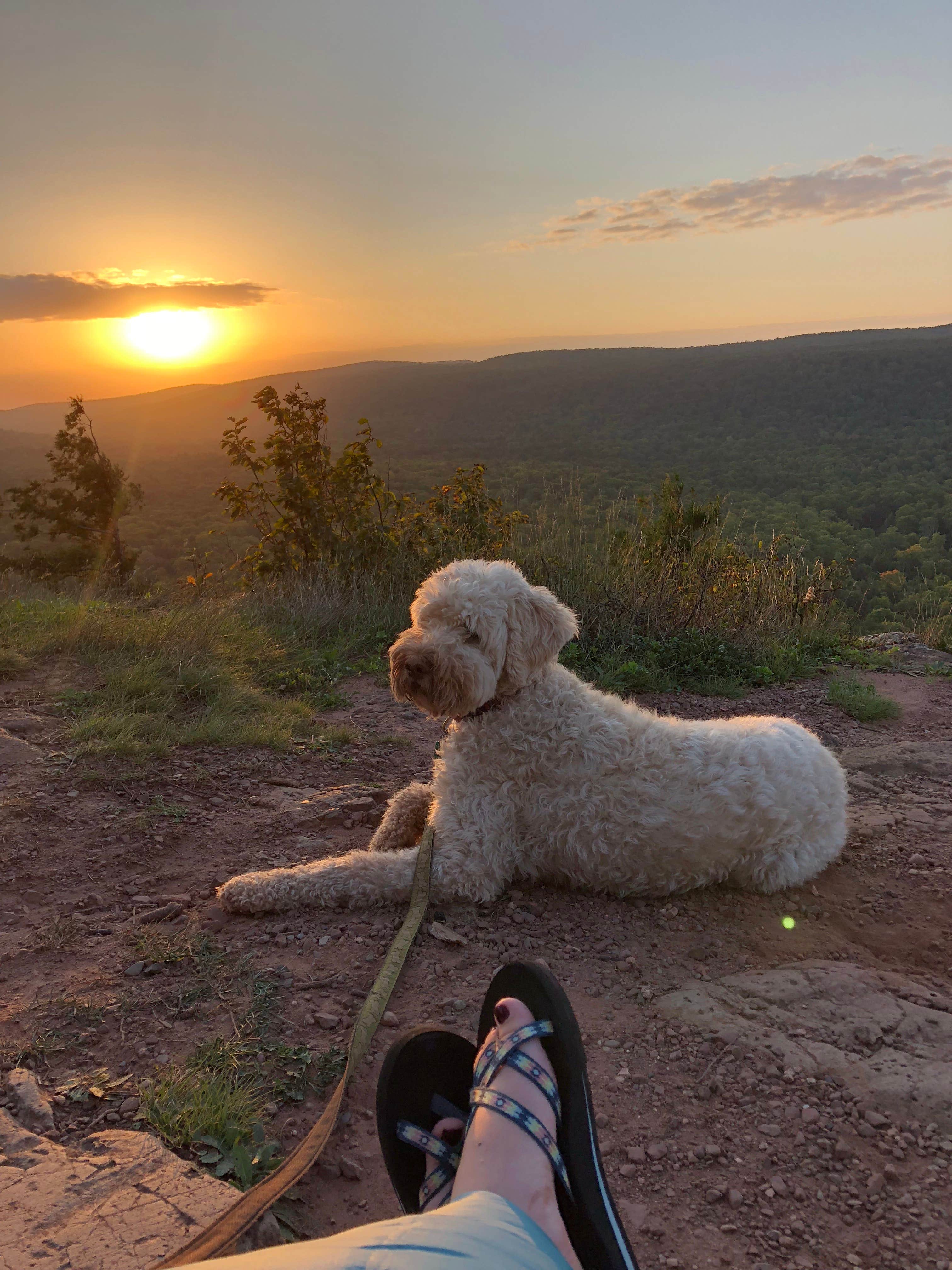 Amanda L.'s photo of camping with pets at Porcupine Mountains Backcountry Camping — Porcupine Mountains Wilderness State Park near Ontonagon, MI