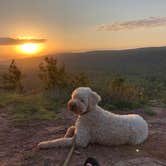 Review photo of Porcupine Mountains Backcountry Camping — Porcupine Mountains Wilderness State Park by Amanda L., October 2, 2018