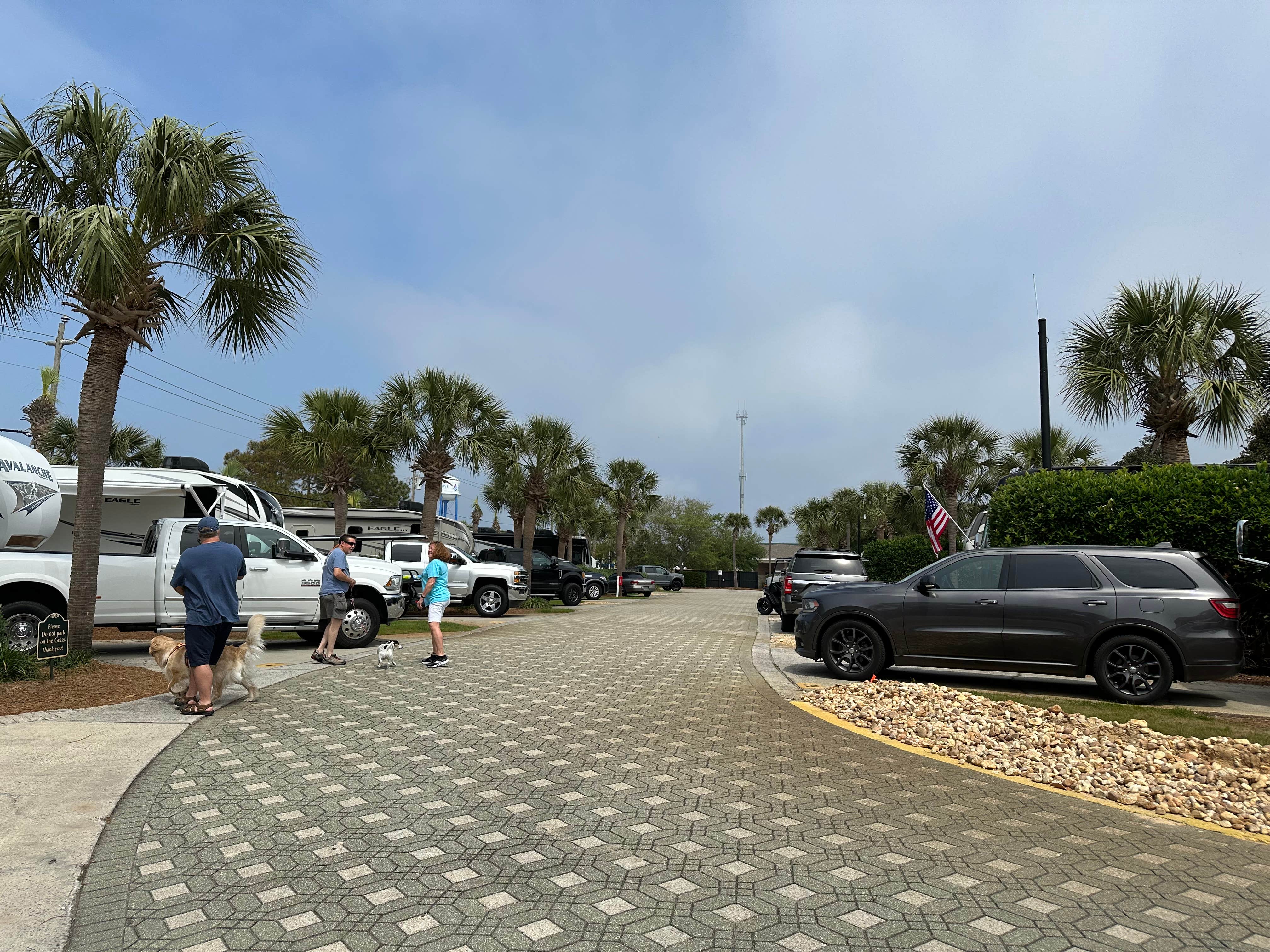 Beth R.'s photo of camping with pets at Destin RV Beach Resort near Panama City Beach, FL