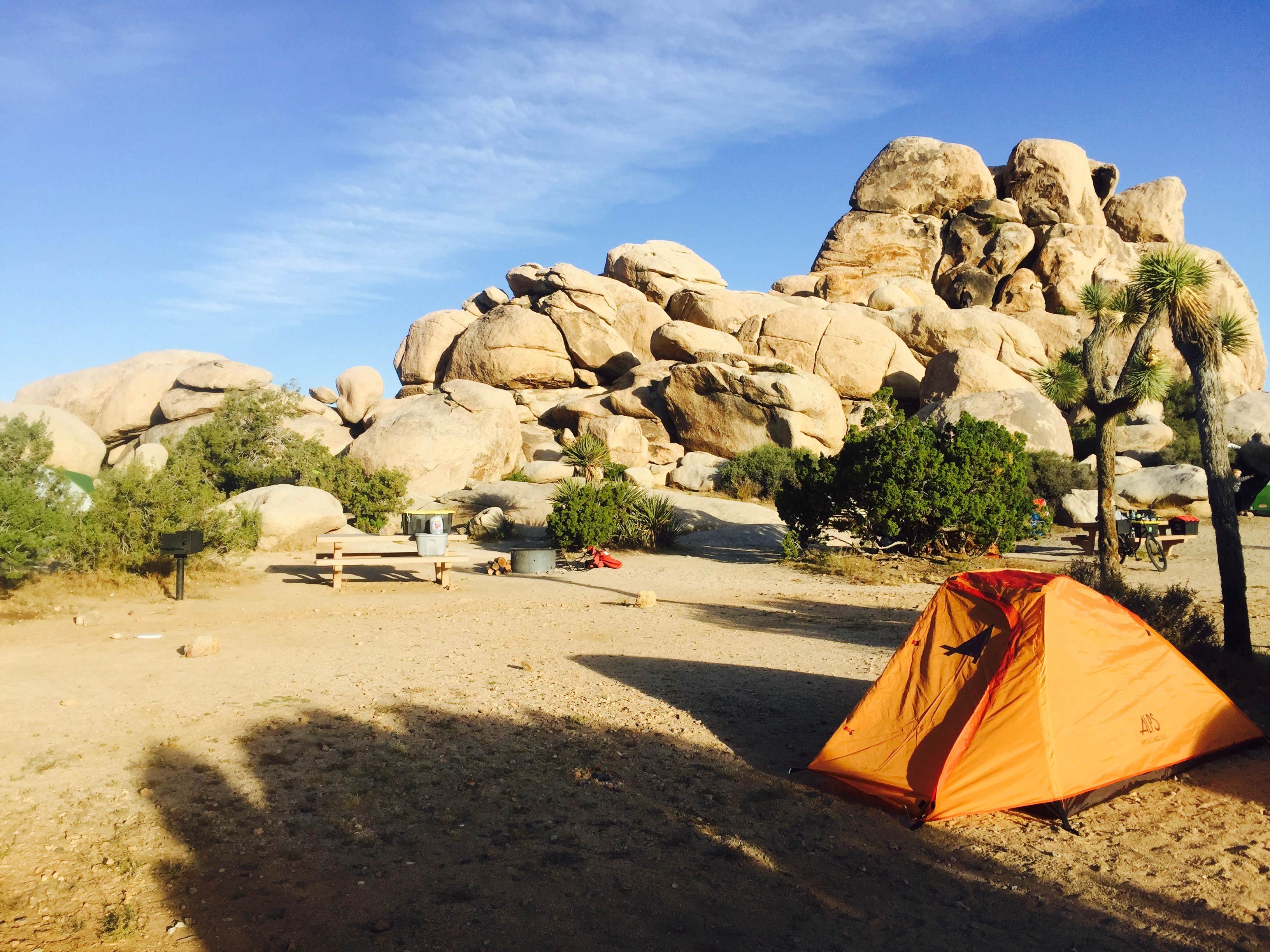 Maura E.'s photo at Ryan Campground — Joshua Tree National Park near Bermuda Dunes, CA