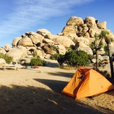 Review photo of Ryan Campground — Joshua Tree National Park by Maura E., August 15, 2016