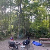 Review photo of Palmetto Island State Park Campground by Travels W., April 6, 2023