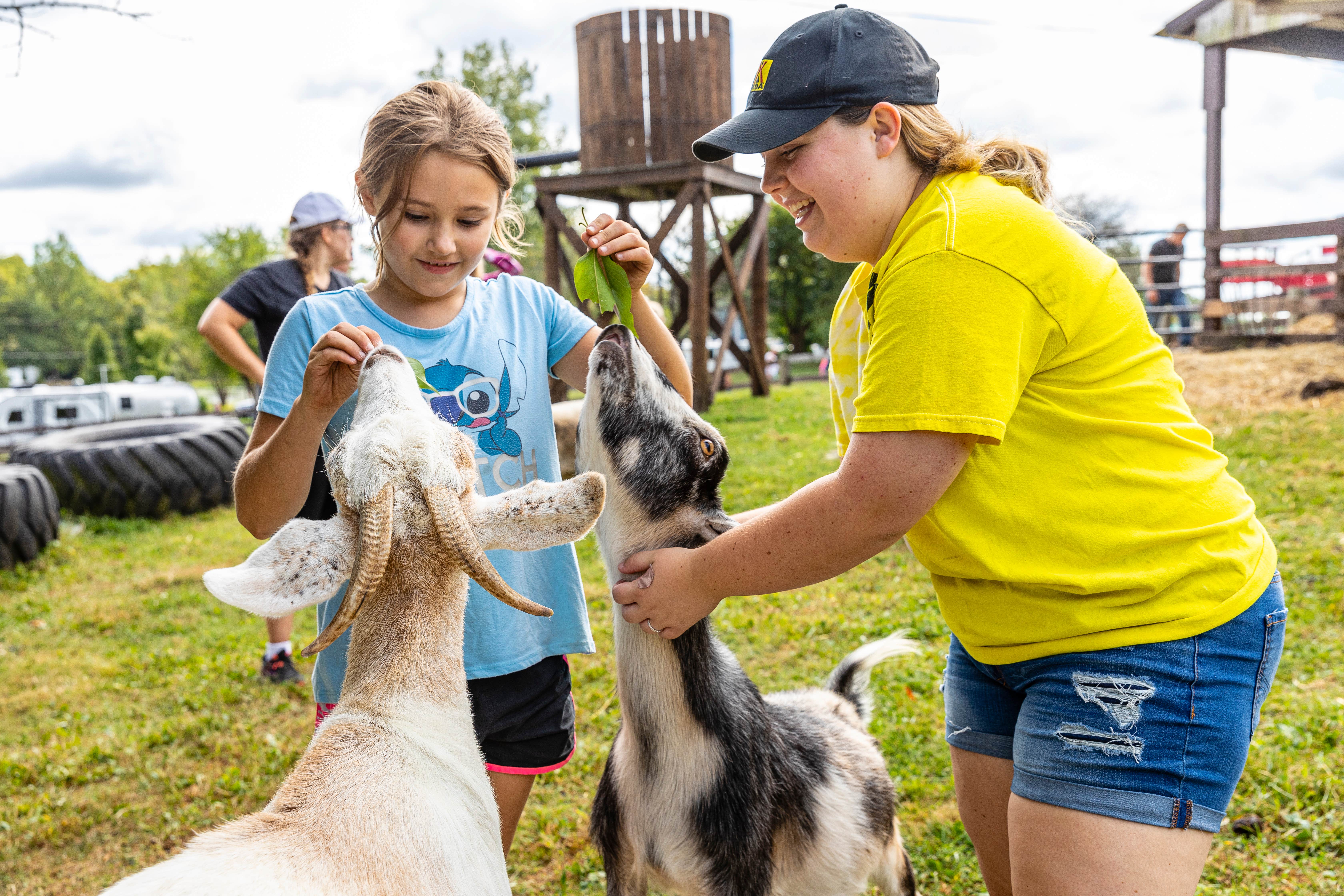 Camper-submitted photo at Sunbury/Columbus North KOA Holiday near Marysville, OH