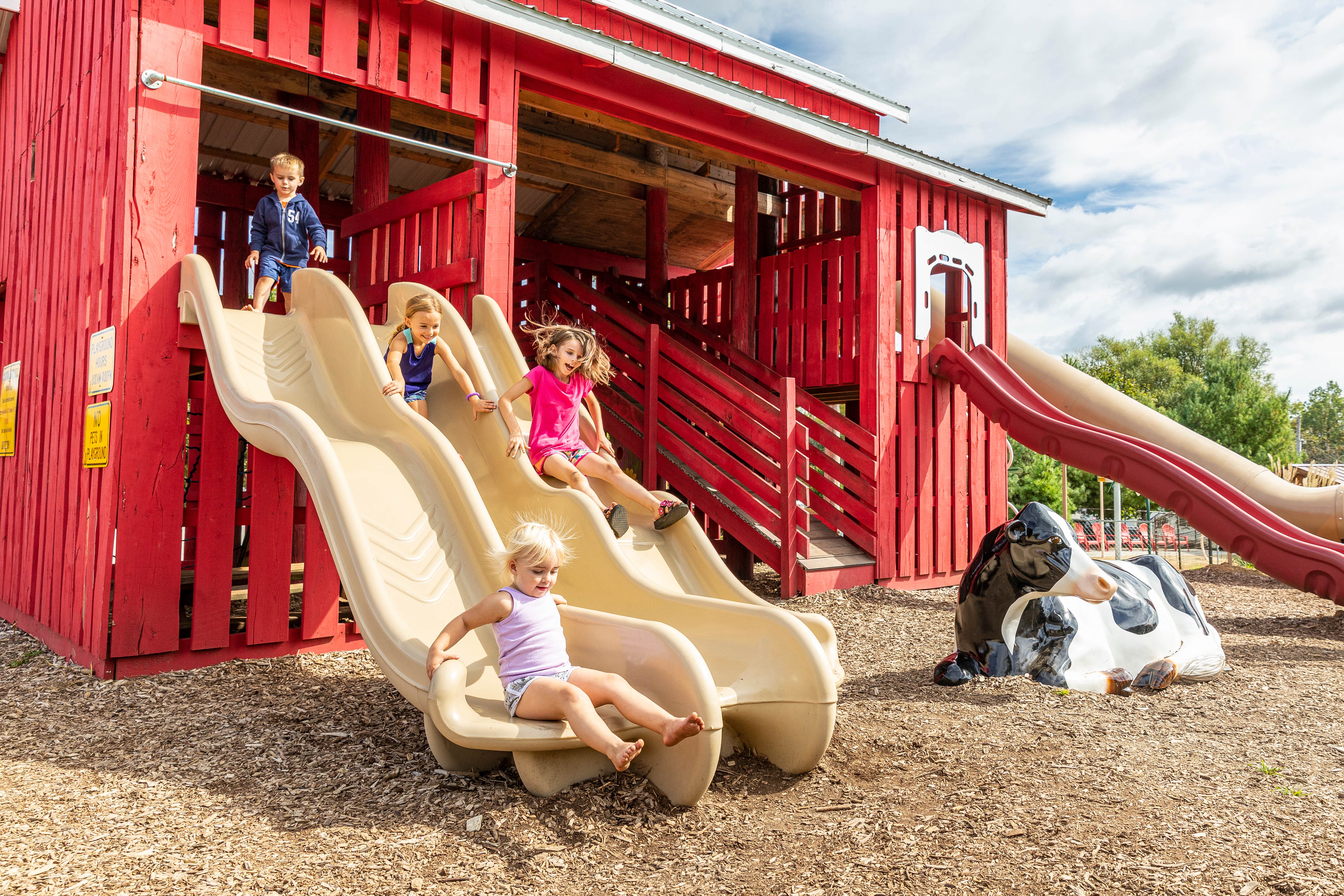 Camper-submitted photo at Sunbury/Columbus North KOA Holiday near Marysville, OH