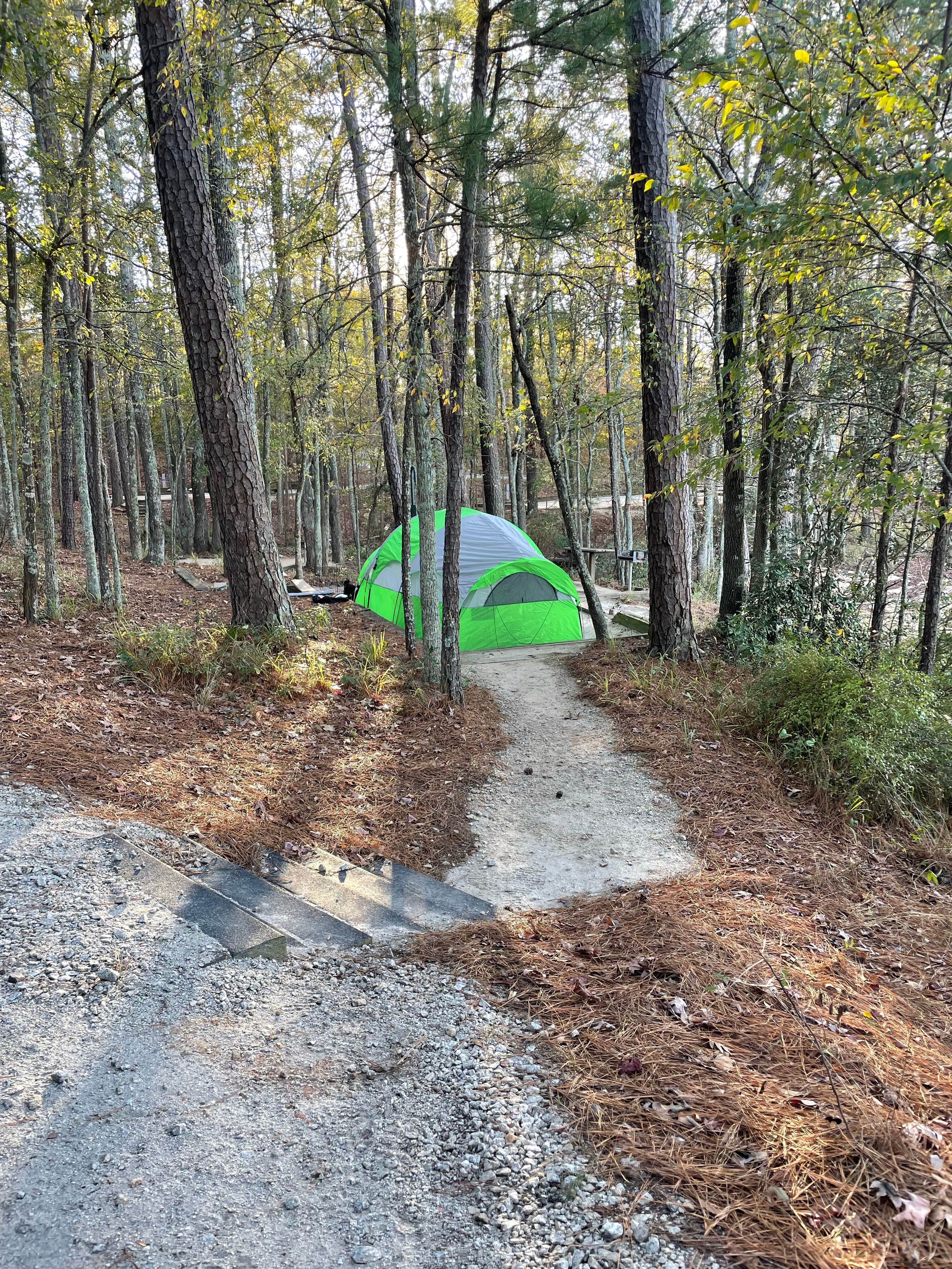 Jess's photo at Petersburg - J Strom Thurmond Lake near Woodland, GA