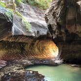 Review photo of Lava Point Campground — Zion National Park by Alan B., October 1, 2018