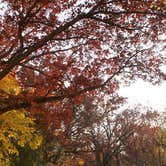 Review photo of Hononegah Forest Preserve by Emily W., August 15, 2016