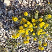 Review photo of Brantley Lake State Park Campground by Sharilyn K., April 7, 2023