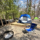 Review photo of Cades Cove Campground by Chris W., April 7, 2023