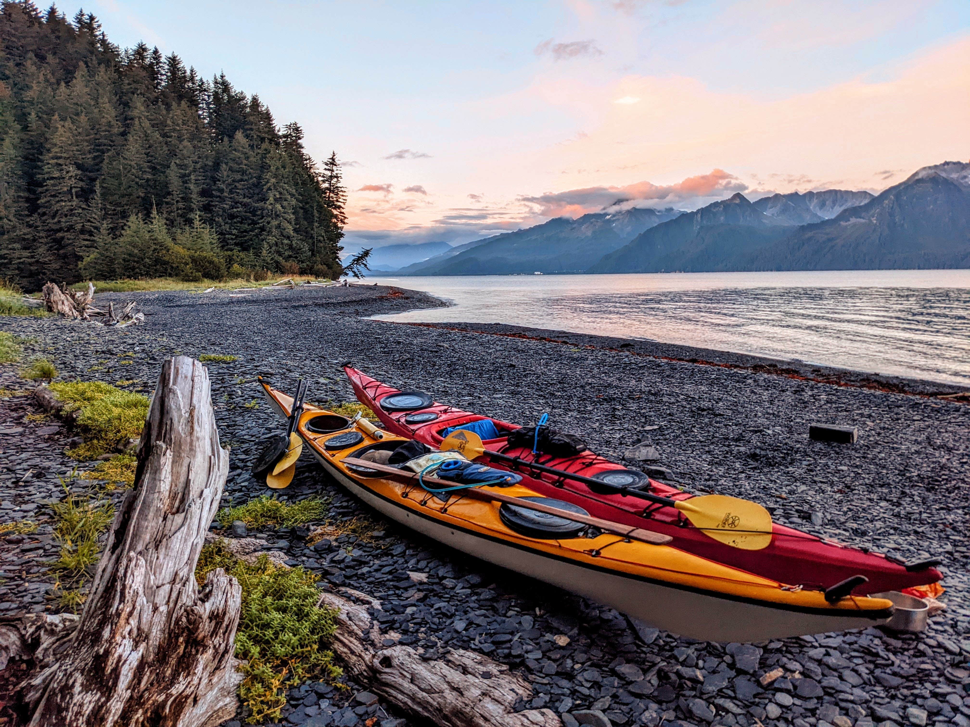 Camper submitted image from North Beach at Caines Head State Rec Area - 5