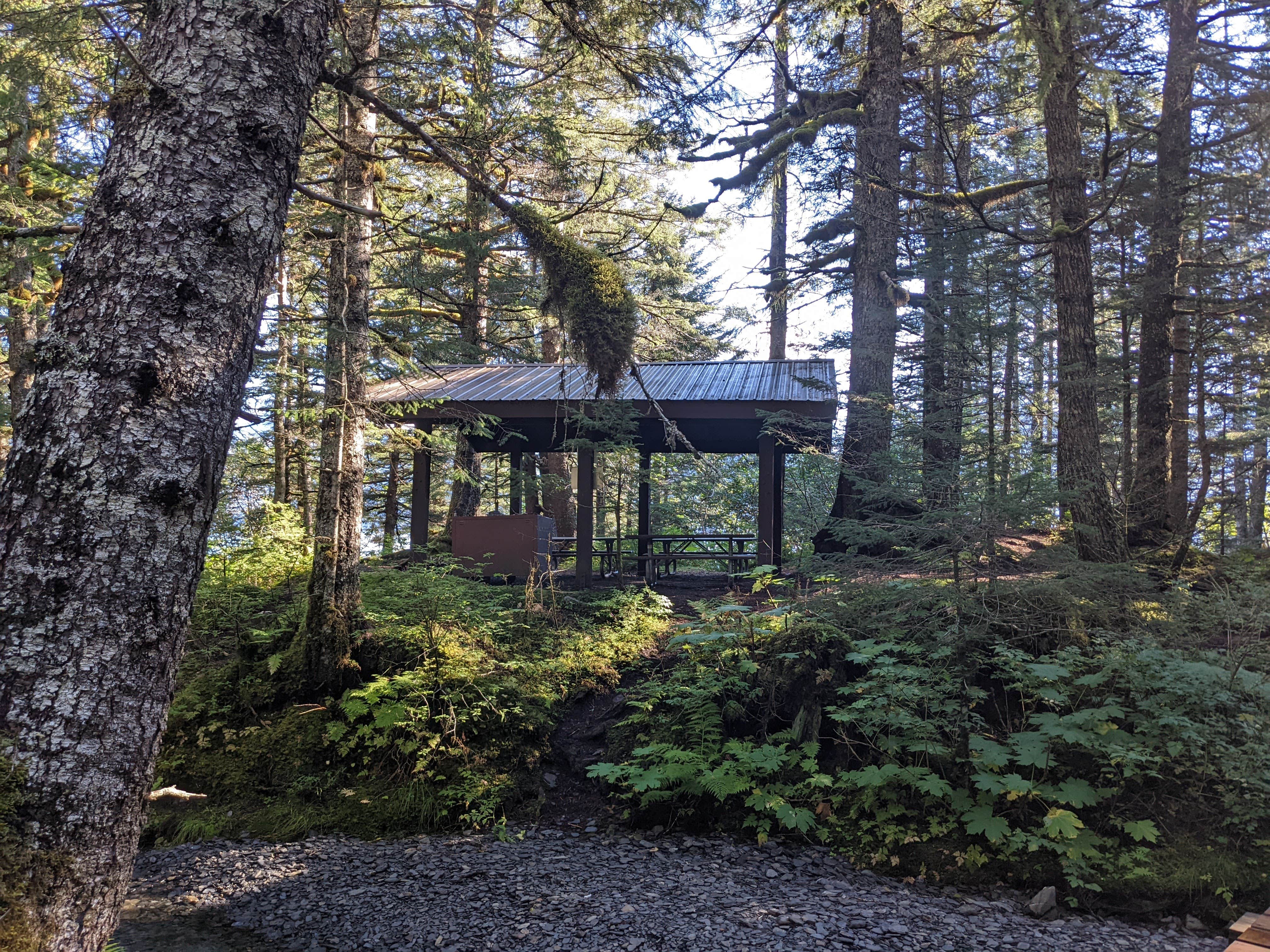 Camper-submitted photo at North Beach at Caines Head State Rec Area near Kenai Fjords National Park