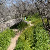 Review photo of Dead Horse Ranch State Park Campground by Amy H., April 7, 2023