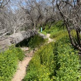 Review photo of Dead Horse Ranch State Park by Amy H., April 7, 2023