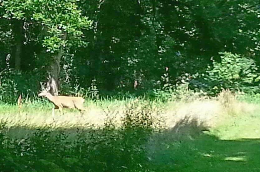 Hononegah Forest Preserve The Dyrt