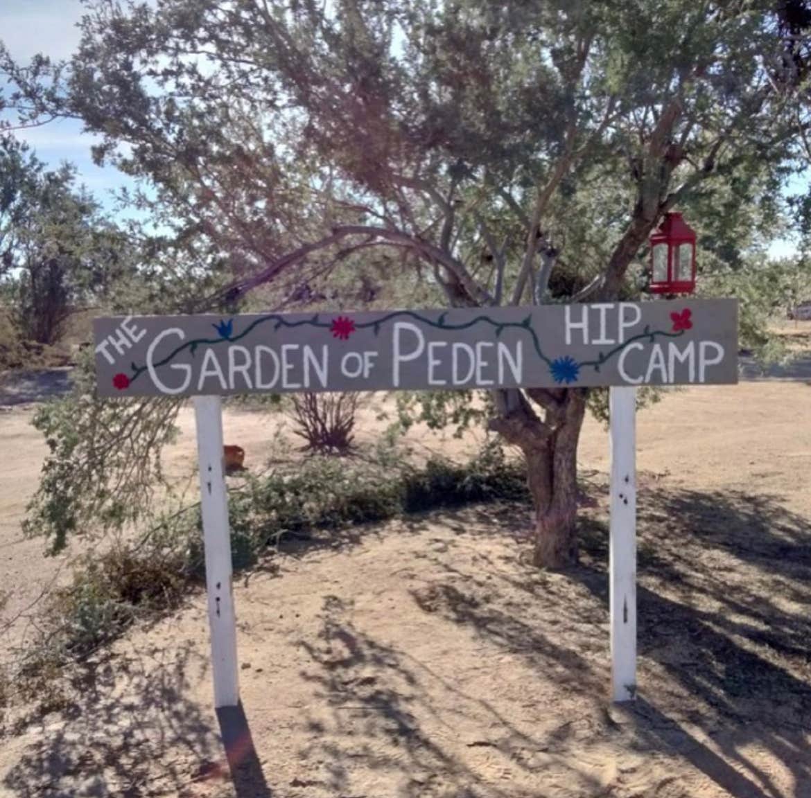 Camper-submitted photo at Garden of Peden near Oro Valley, AZ