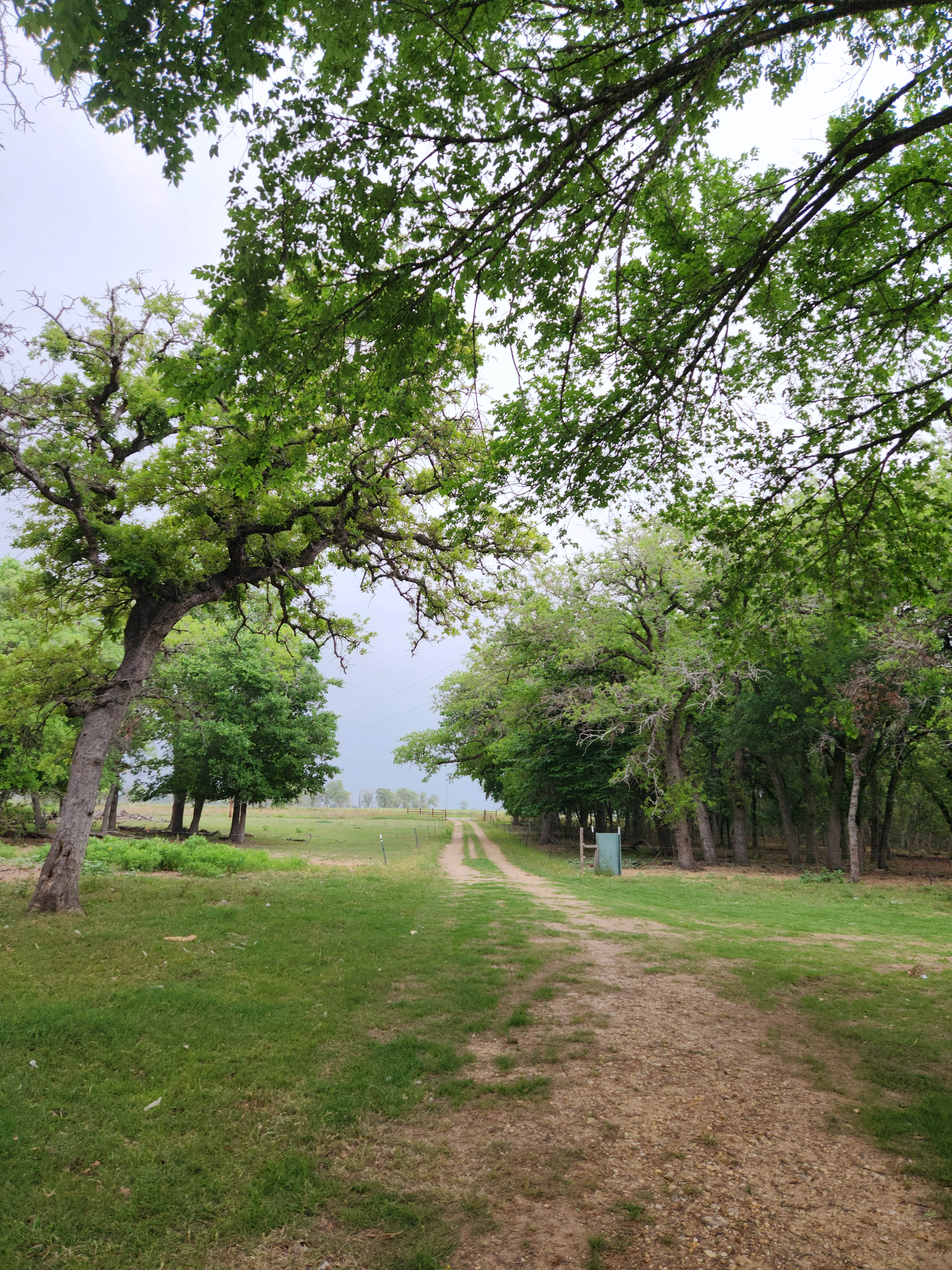 Camper-submitted photo at Sandy Grove Ranch near Caddo, TX