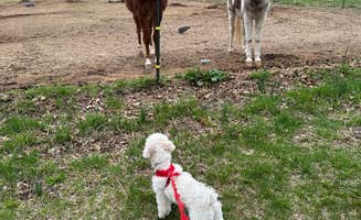 Bob's photo of camping with pets at Middle Ridge Campground near Cumberland, MD