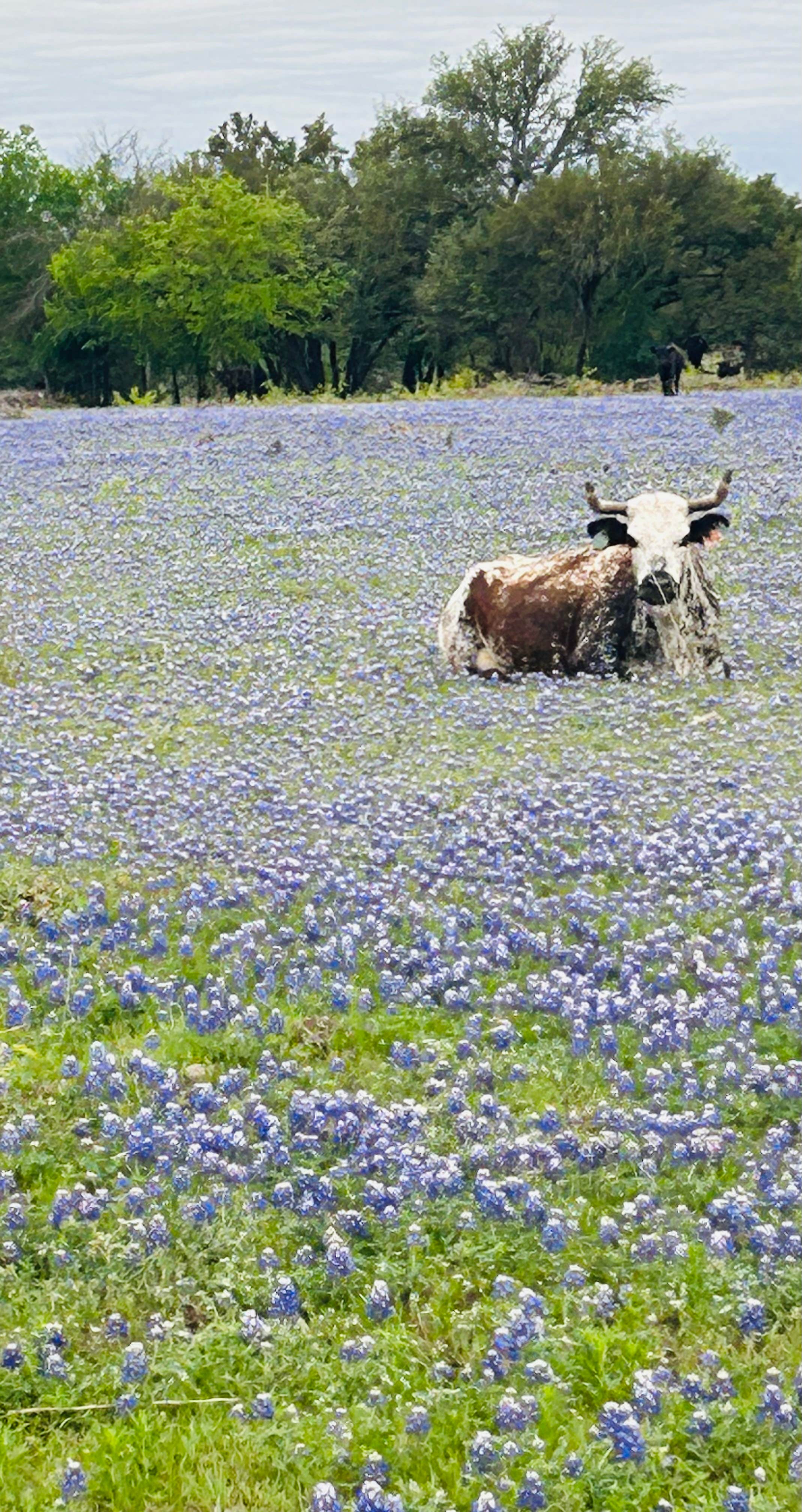 Camper submitted image from Farnash Creek Ranch - 2