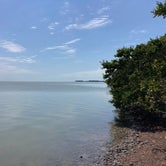 Review photo of Flamingo Campground — Everglades National Park by paul W., April 8, 2023
