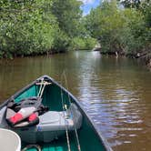 Review photo of Long Pine Key Campground — Everglades National Park by paul W., April 8, 2023