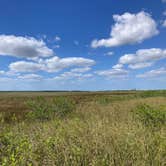 Review photo of Long Pine Key Campground — Everglades National Park by paul W., April 8, 2023